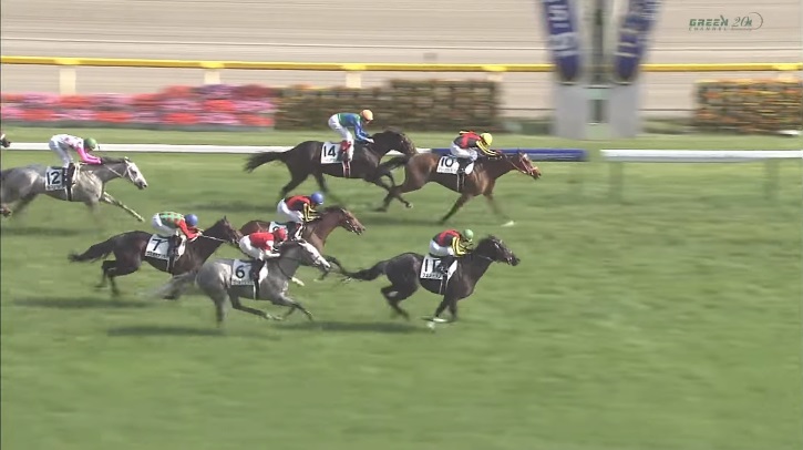 日本ダービー12 結果 動画 ディープブリランテがハナ差で勝利しダービー馬に輝く