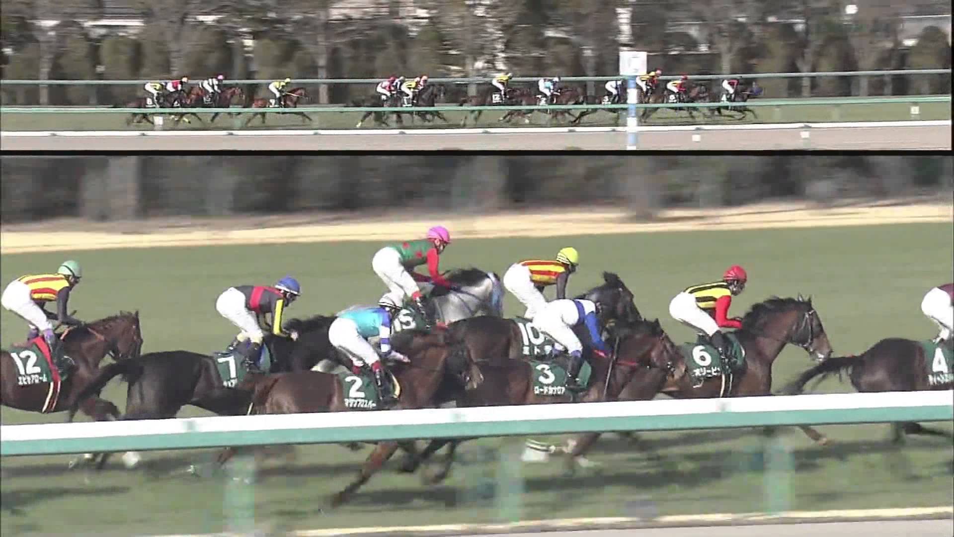 阪急杯13 結果 動画 ロードカナロアが着差以上の強さを見せ快勝