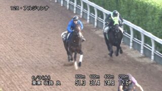 メルボルンカップ19 結果 動画 ヴァウアンドディクレアが優勝 メールドグラースは6着