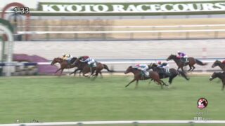 京都金杯2024 コレペティトール