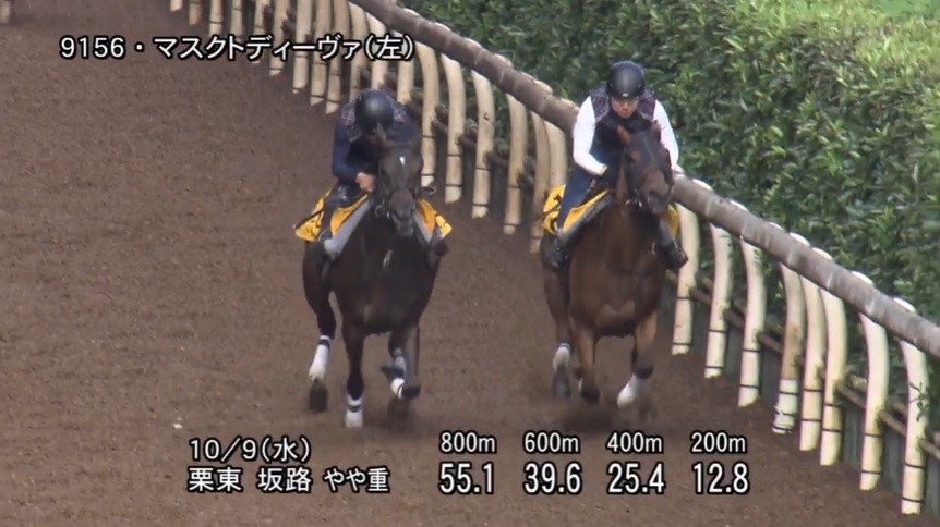 府中牝馬ステークス2024 追い切り