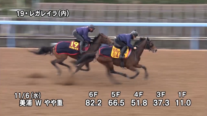 エリザベス女王杯2024 追い切り