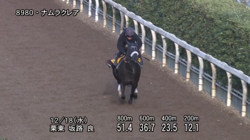 阪神カップ2024 追い切り