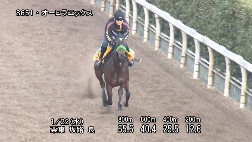 小倉牝馬ステークス2025 追い切り