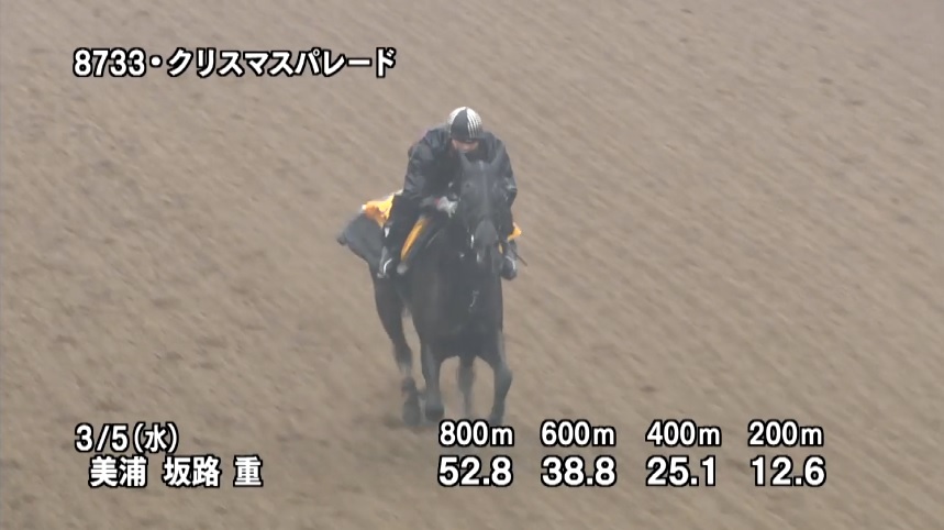 中山牝馬ステークス2025 追い切り